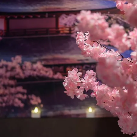 Du Mont Fuji - Immersion Japonaise Tarbes
